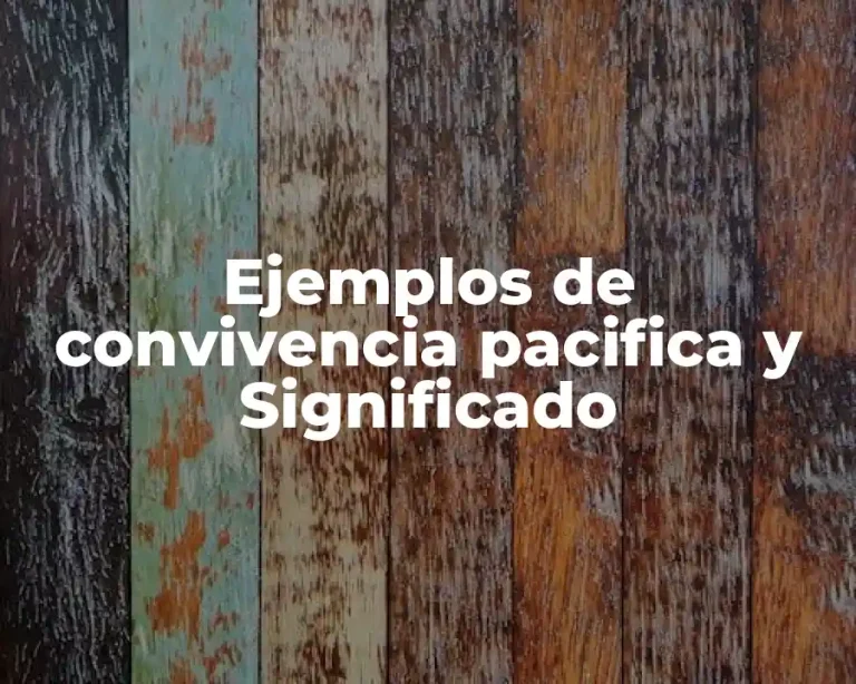Ejemplos de convivencia pacifica y Significado