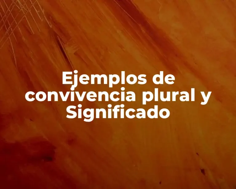 Ejemplos de convivencia plural y Significado