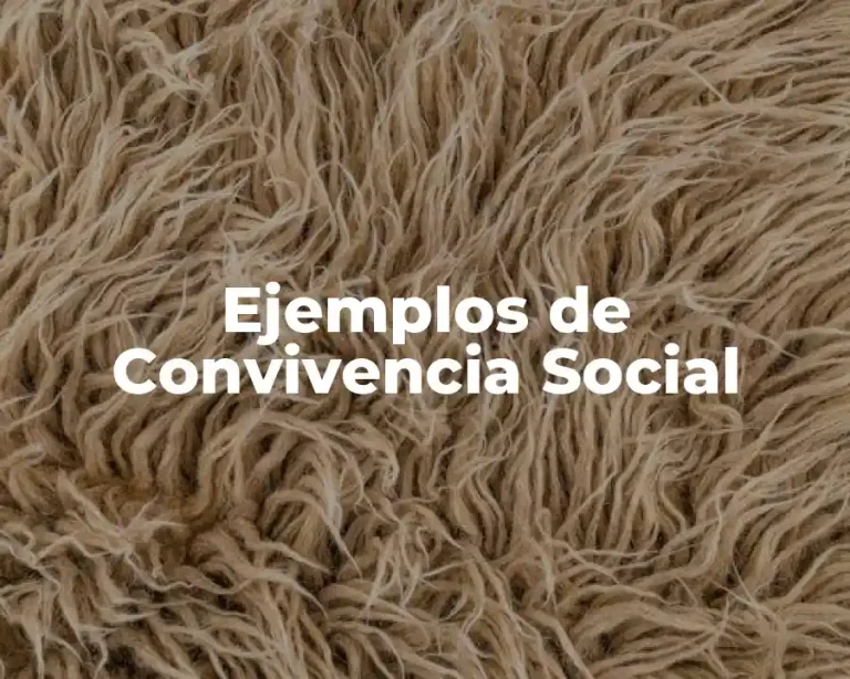 Ejemplos de Convivencia Social