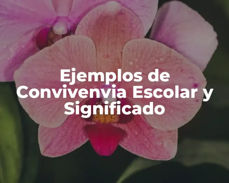 Ejemplos de Convivenvia Escolar y Significado