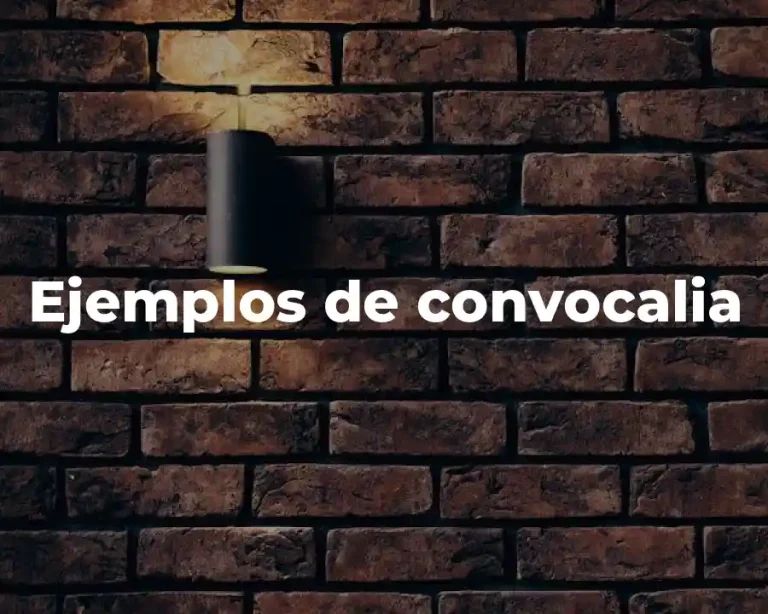 Ejemplos de convocalia