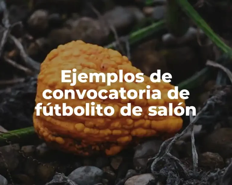 Ejemplos de convocatoria de fútbolito de salón