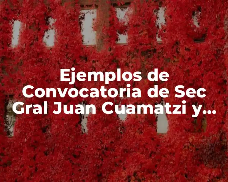 Ejemplos de Convocatoria de Sec Gral Juan Cuamatzi y Significado