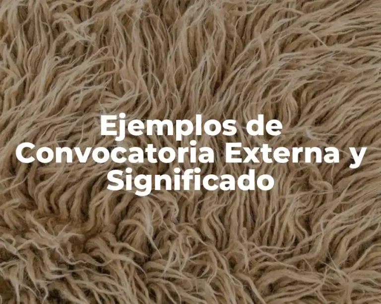 Ejemplos de Convocatoria Externa y Significado