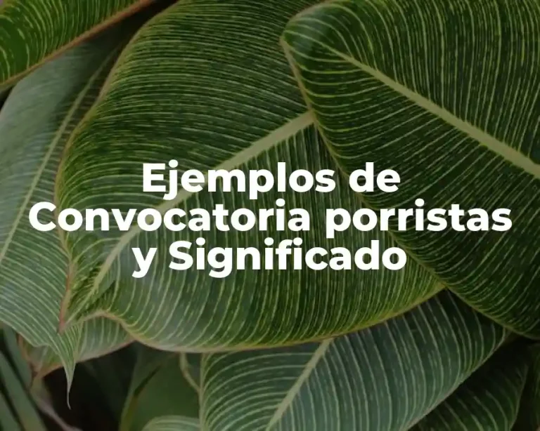 Ejemplos de Convocatoria porristas y Significado