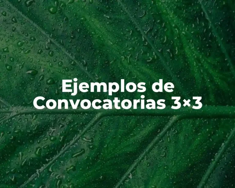 Ejemplos de Convocatorias 3×3