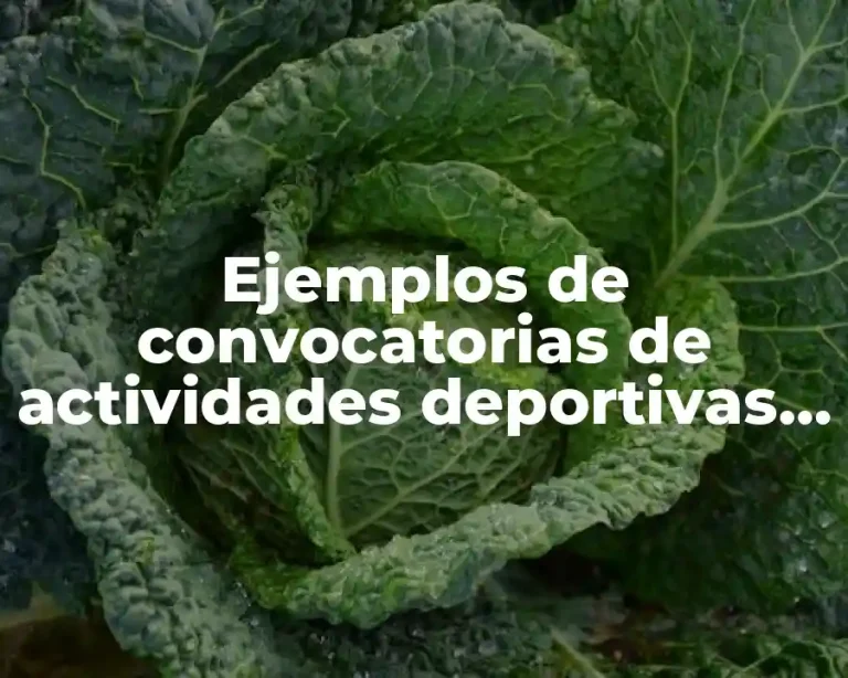Ejemplos de convocatorias de actividades deportivas tradicionales y Significado