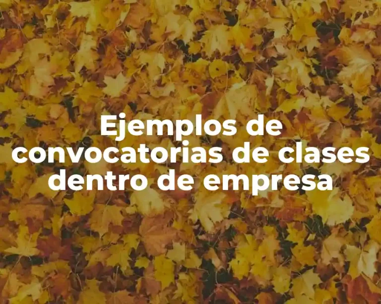 Ejemplos de convocatorias de clases dentro de empresa