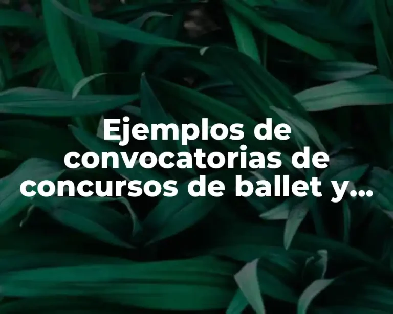 Ejemplos de convocatorias de concursos de ballet y Significado