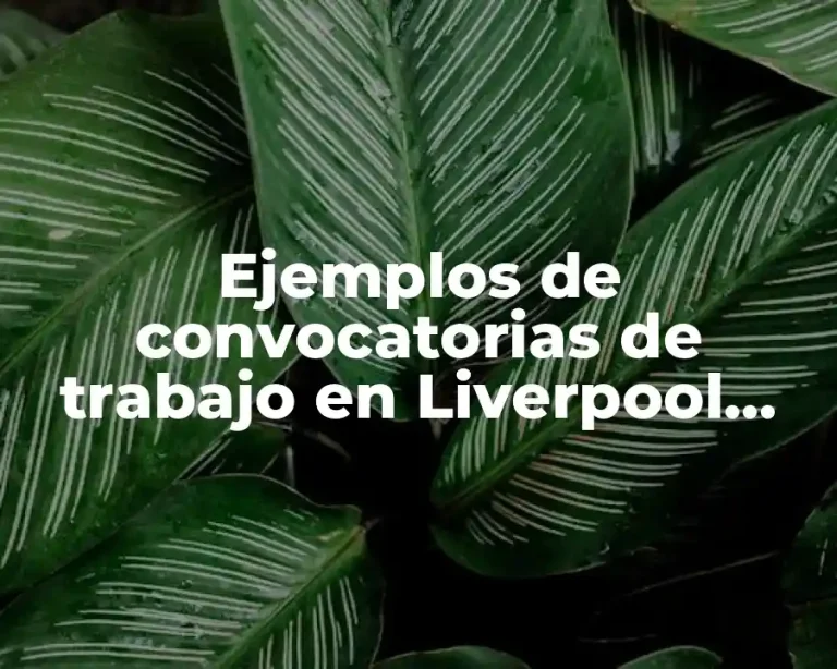 Ejemplos de convocatorias de trabajo en Liverpool Tienda