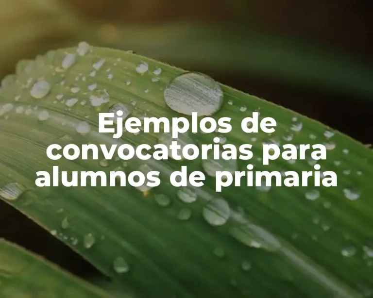 Ejemplos de convocatorias para alumnos de primaria
