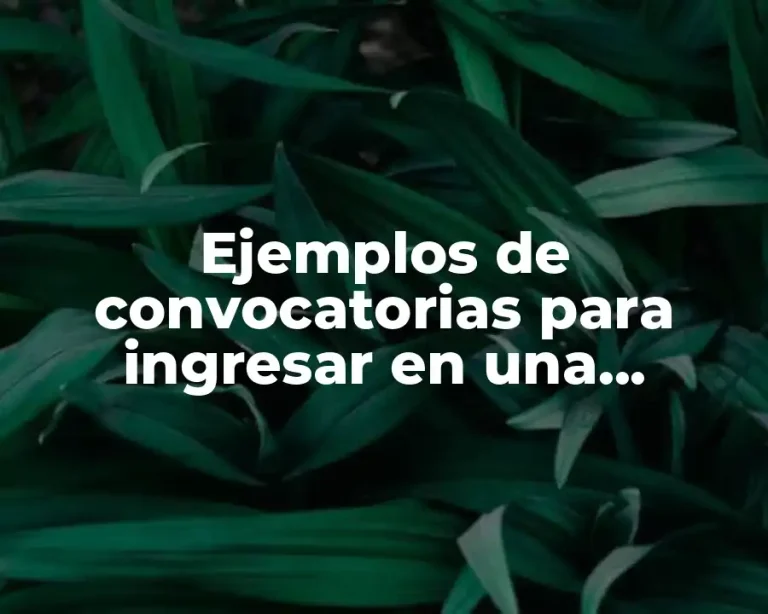 Ejemplos de convocatorias para ingresar en una institución y Significado