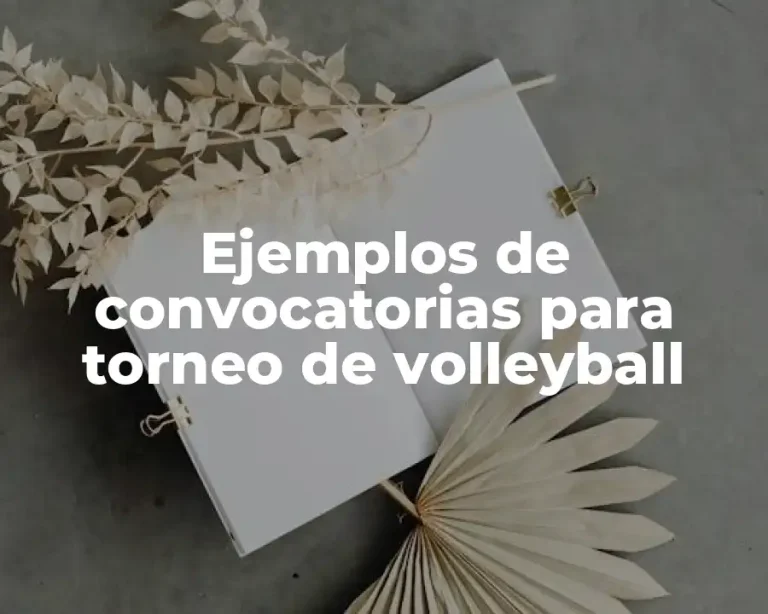 Ejemplos de convocatorias para torneo de volleyball