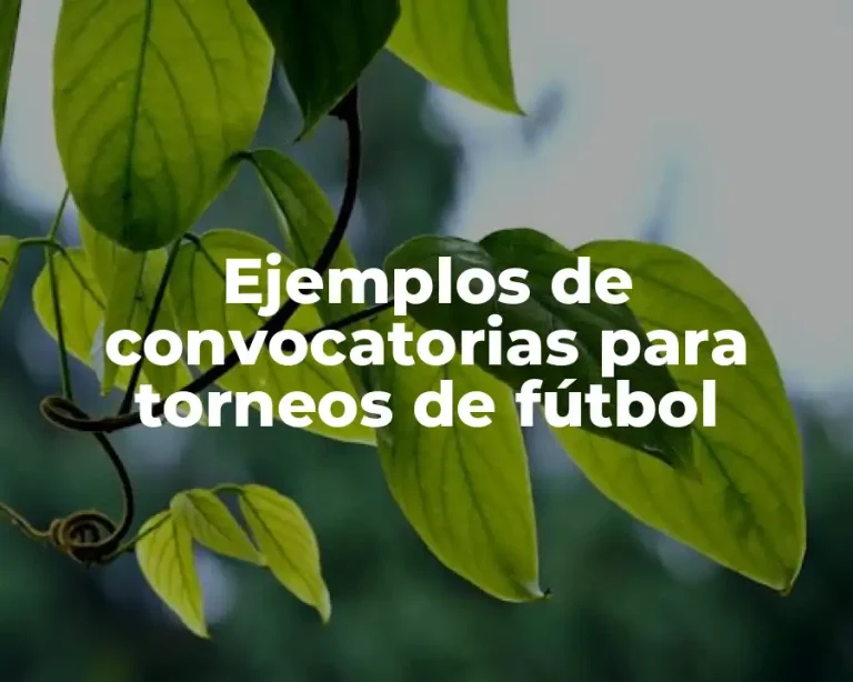 Ejemplos de convocatorias para torneos de fútbol