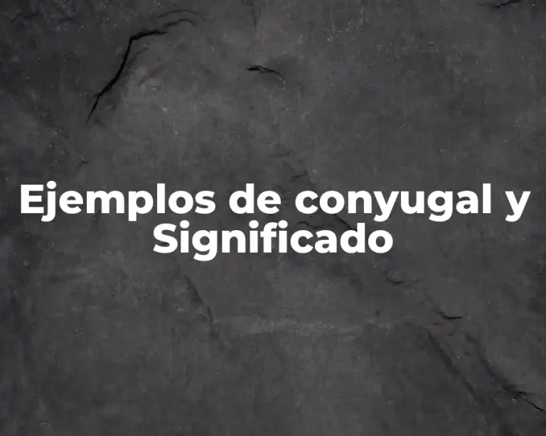 Ejemplos de conyugal y Significado