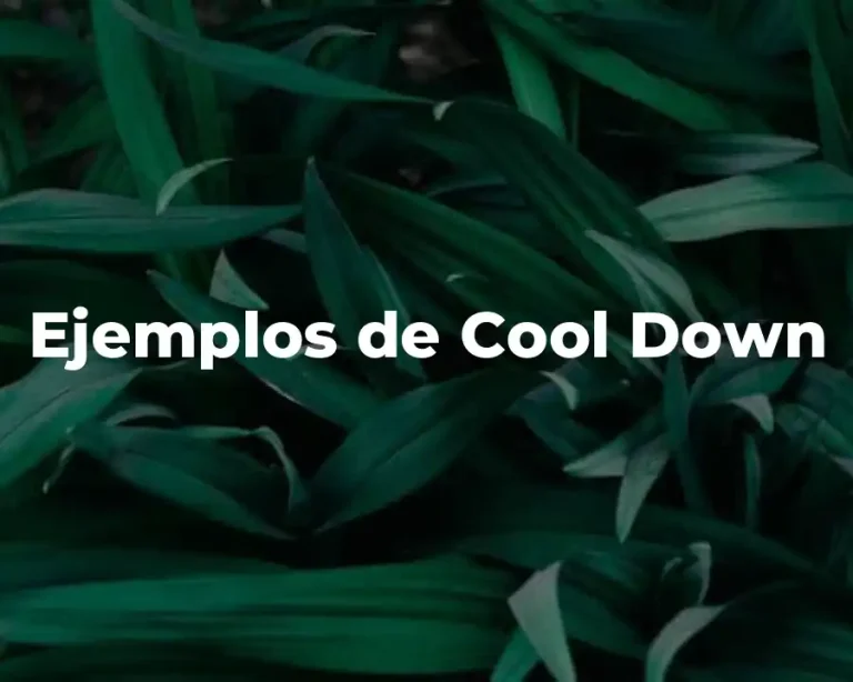 Ejemplos de Cool Down