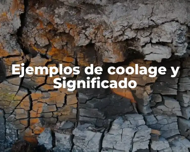 Ejemplos de coolage y Significado