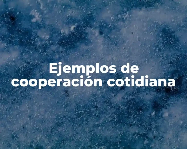 Ejemplos de cooperación cotidiana