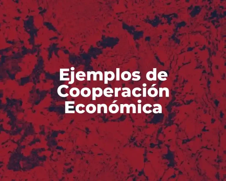 Ejemplos de Cooperación Económica