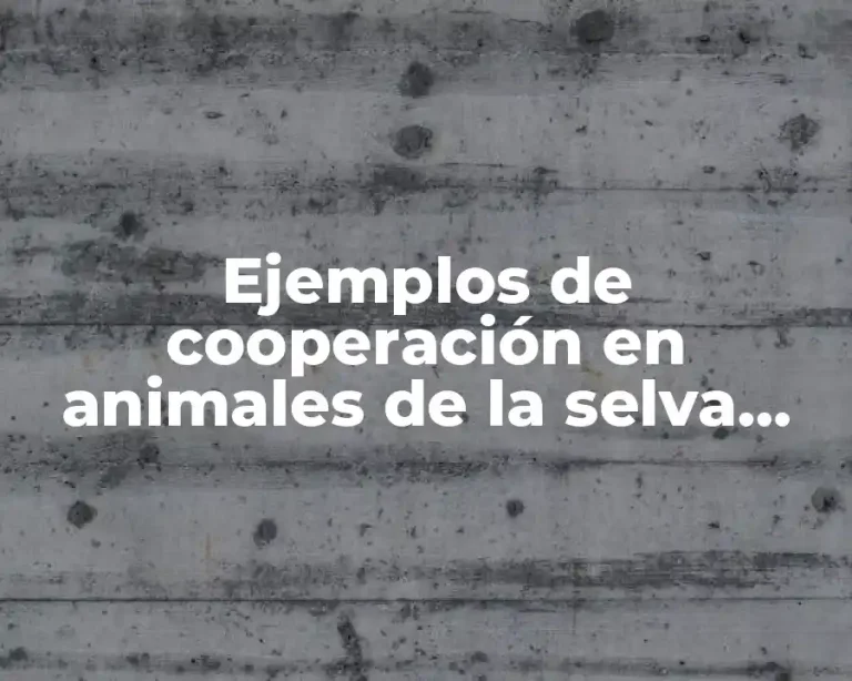 Ejemplos de cooperación en animales de la selva tropical