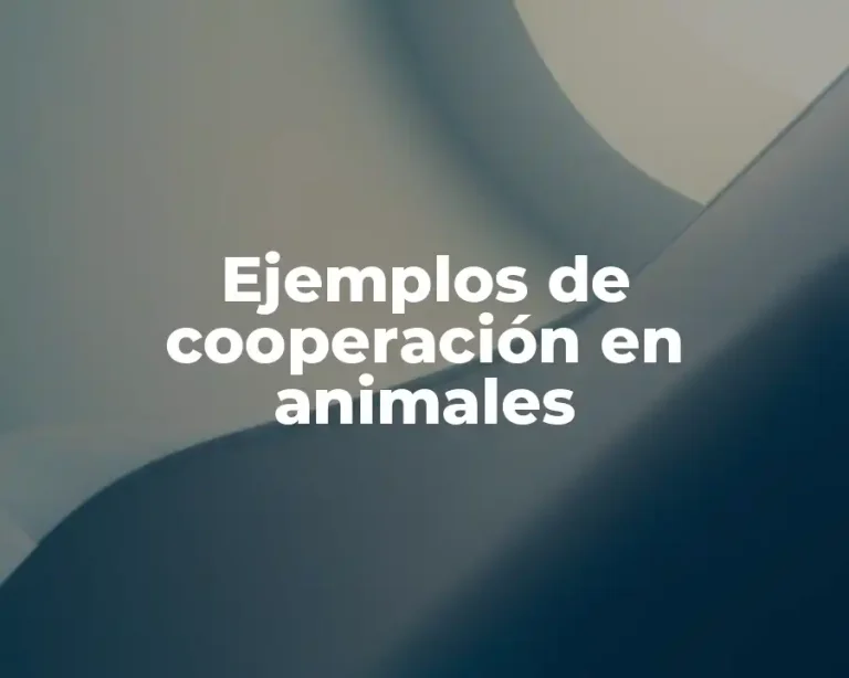 Ejemplos de cooperación en animales