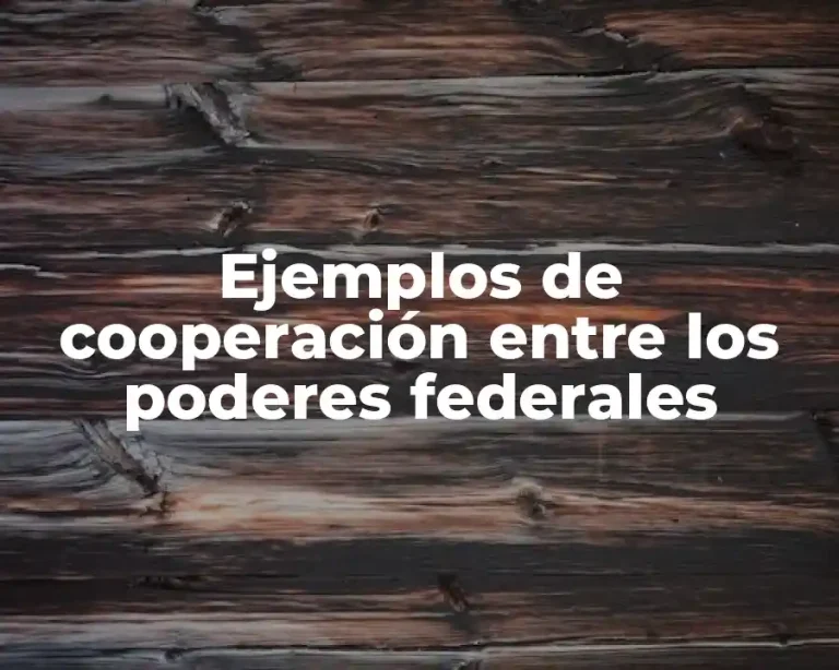 Ejemplos de cooperación entre los poderes federales