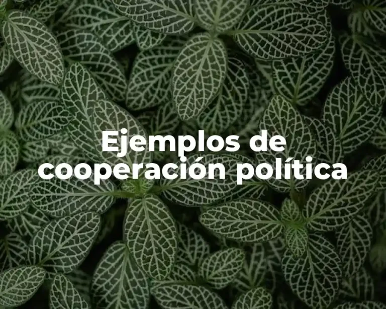 Ejemplos de cooperación política