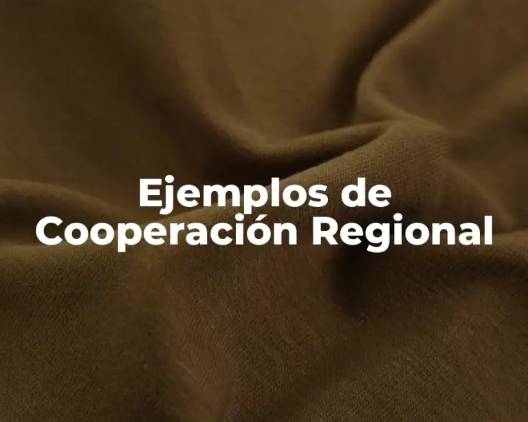 Ejemplos de Cooperación Regional