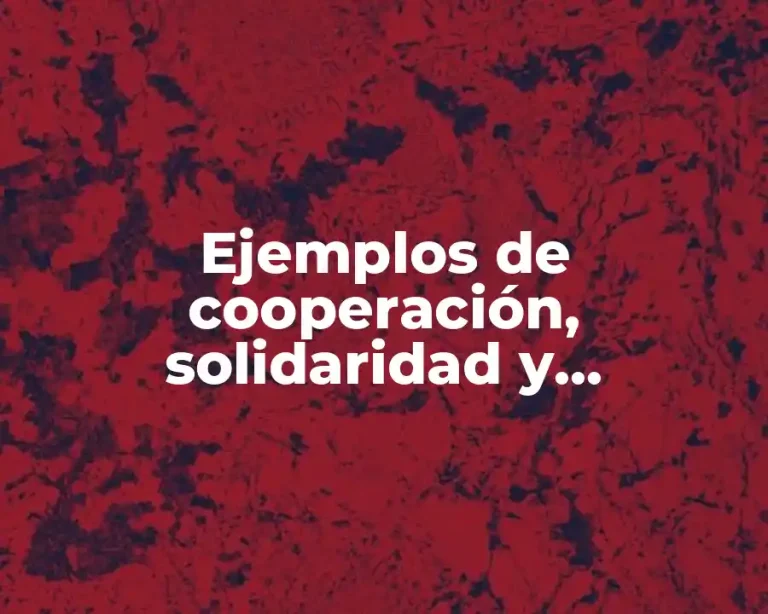 Ejemplos de cooperación, solidaridad y corresponsabilidad promueven