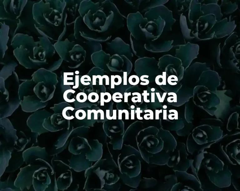 Ejemplos de Cooperativa Comunitaria