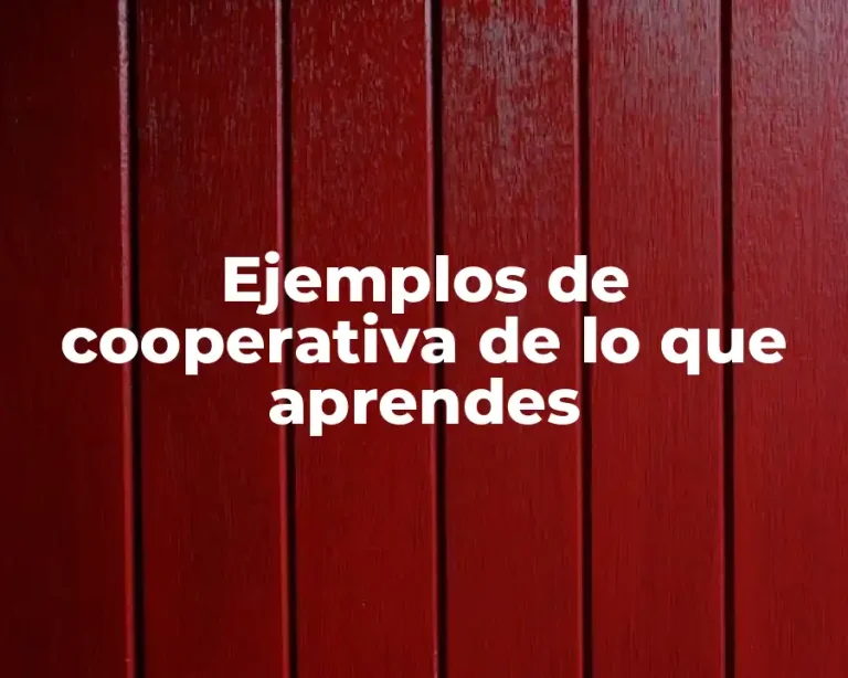 Ejemplos de cooperativa de lo que aprendes