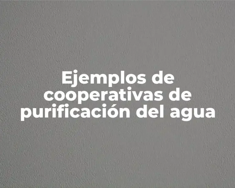 Ejemplos de cooperativas de purificación del agua