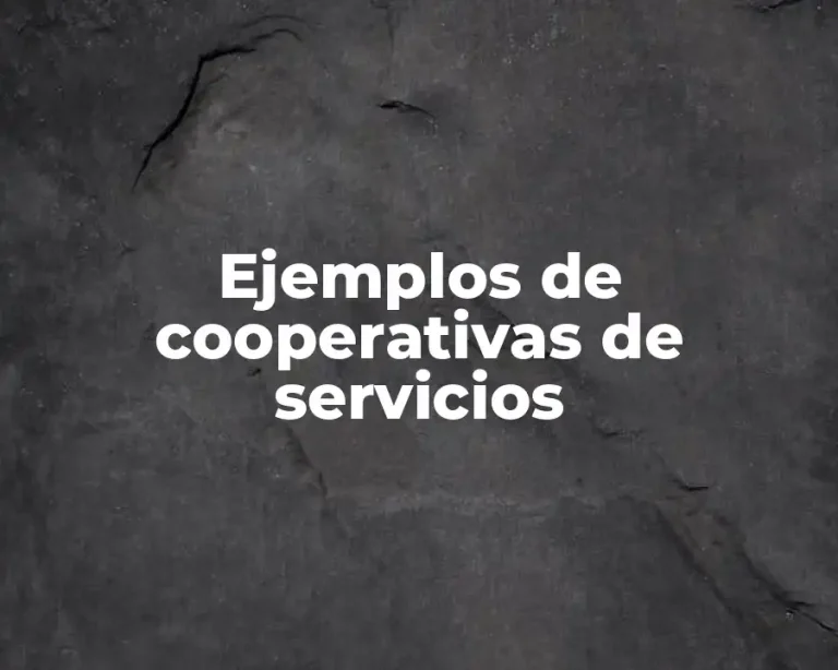 Ejemplos de cooperativas de servicios