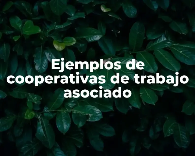 Ejemplos de cooperativas de trabajo asociado