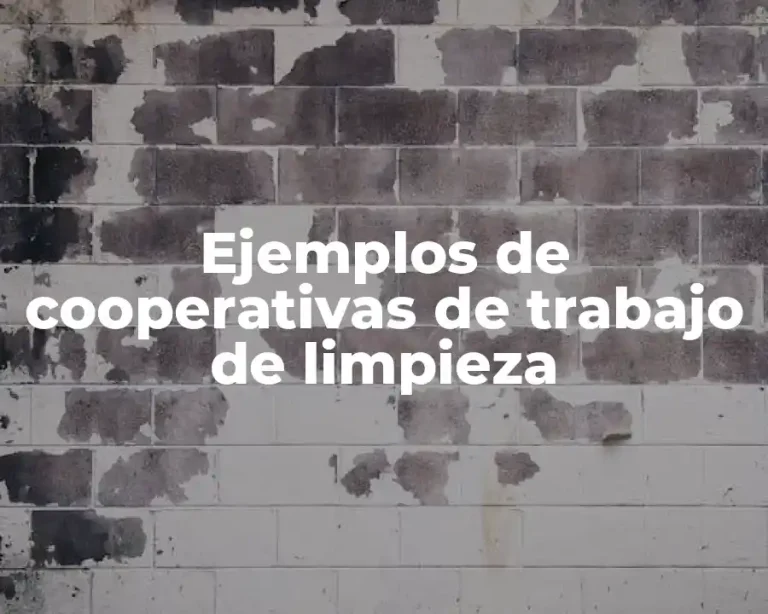 Ejemplos de cooperativas de trabajo de limpieza