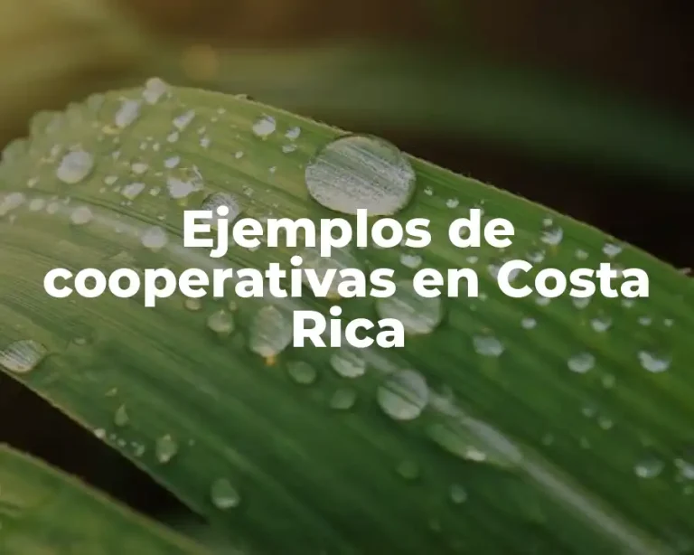 Ejemplos de cooperativas en Costa Rica