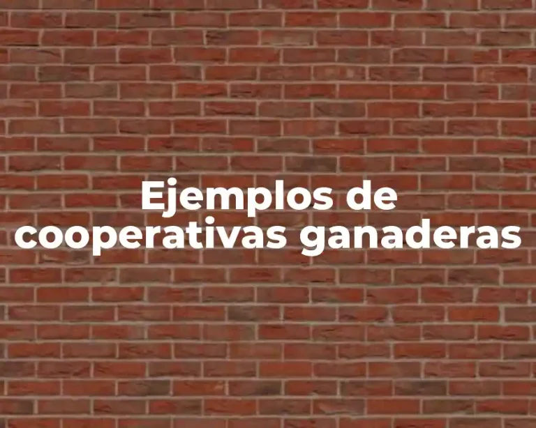 Ejemplos de cooperativas ganaderas