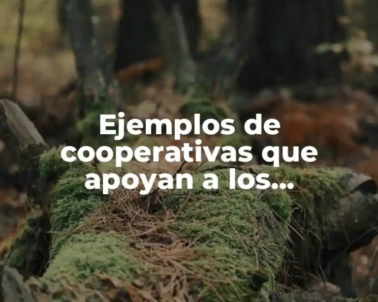 Ejemplos de cooperativas que apoyan a los cafeticultores en Guerrero y Significado