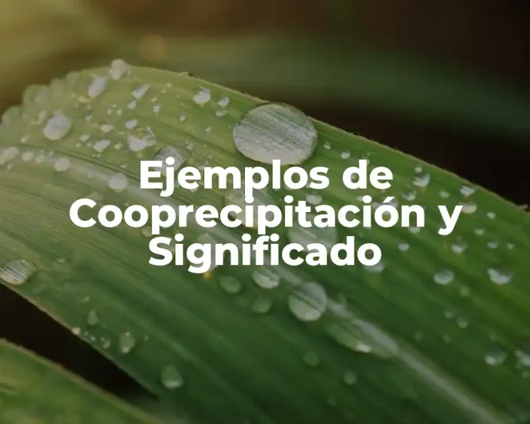 Ejemplos de Cooprecipitación y Significado