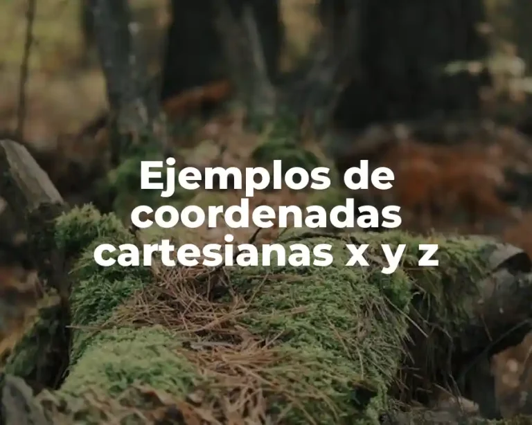 Ejemplos de coordenadas cartesianas x y z