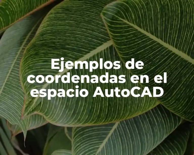 Ejemplos de coordenadas en el espacio AutoCAD