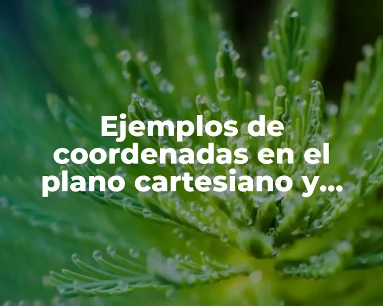 Ejemplos de coordenadas en el plano cartesiano y Significado