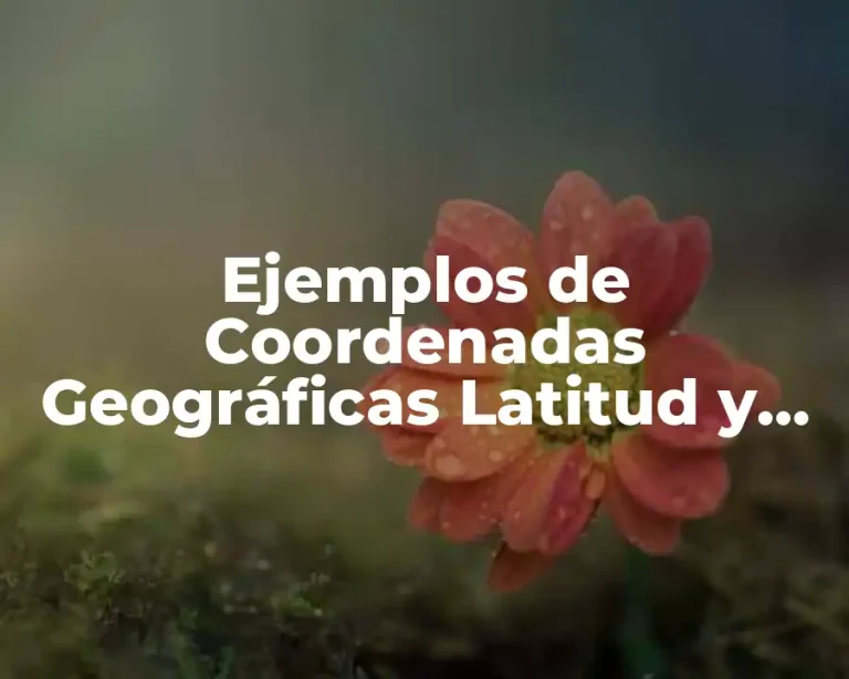 Ejemplos de Coordenadas Geográficas Latitud y Longitud