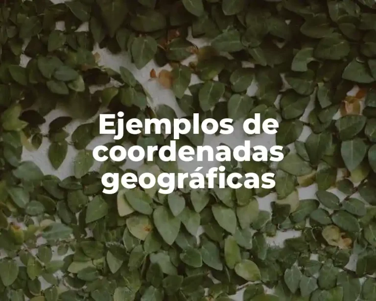 Ejemplos de coordenadas geográficas