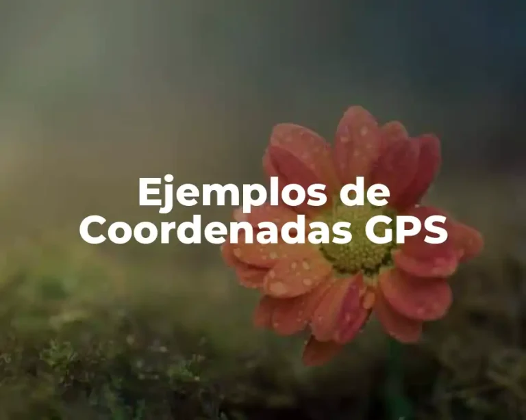 Ejemplos de Coordenadas GPS