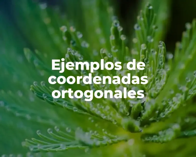 Ejemplos de coordenadas ortogonales