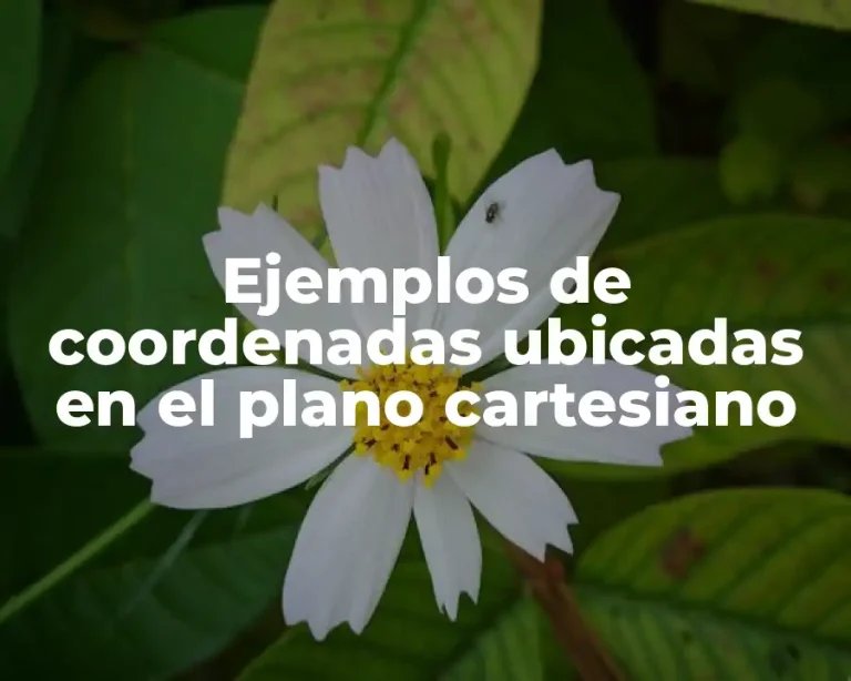 Ejemplos de coordenadas ubicadas en el plano cartesiano