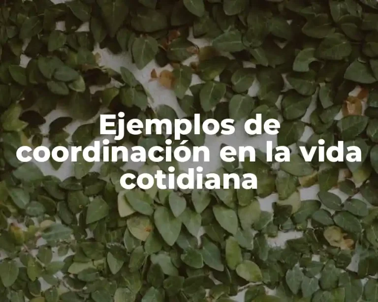 Ejemplos de coordinación en la vida cotidiana