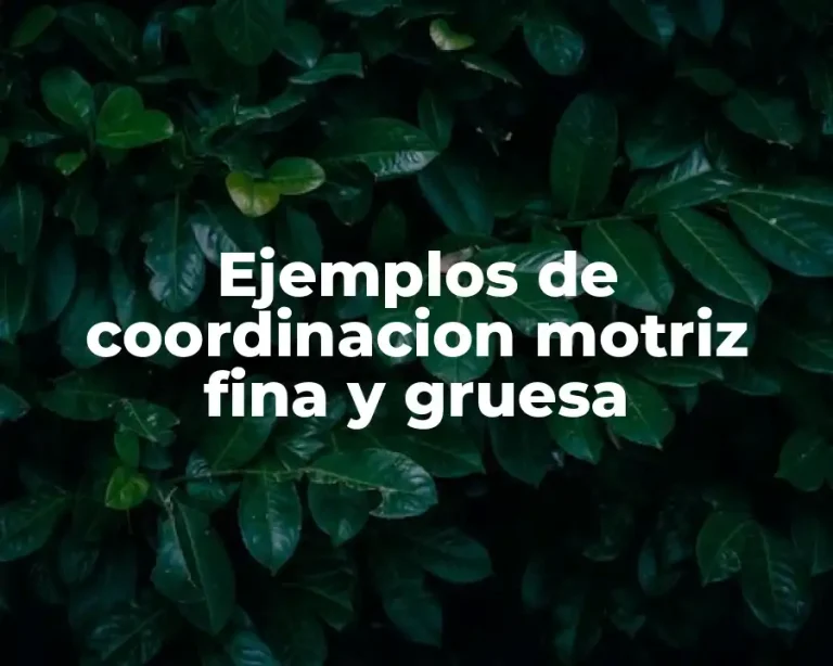 Ejemplos de coordinacion motriz fina y gruesa