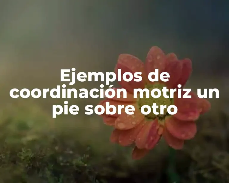 Ejemplos de coordinación motriz un pie sobre otro